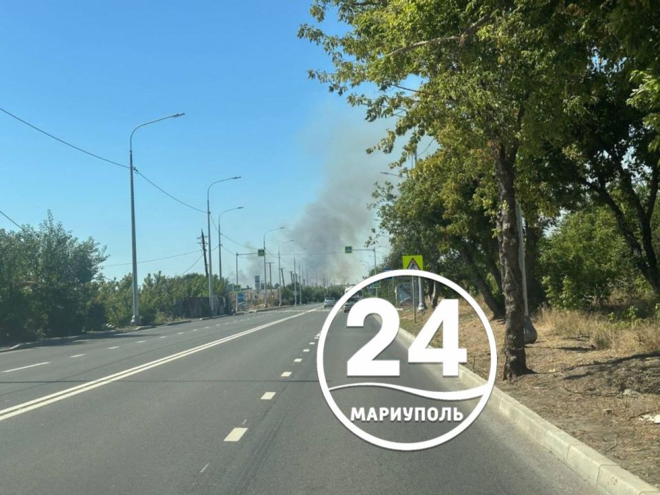 Горят поля в районе Волонтеровки Горят поля в районе Волонтеровки