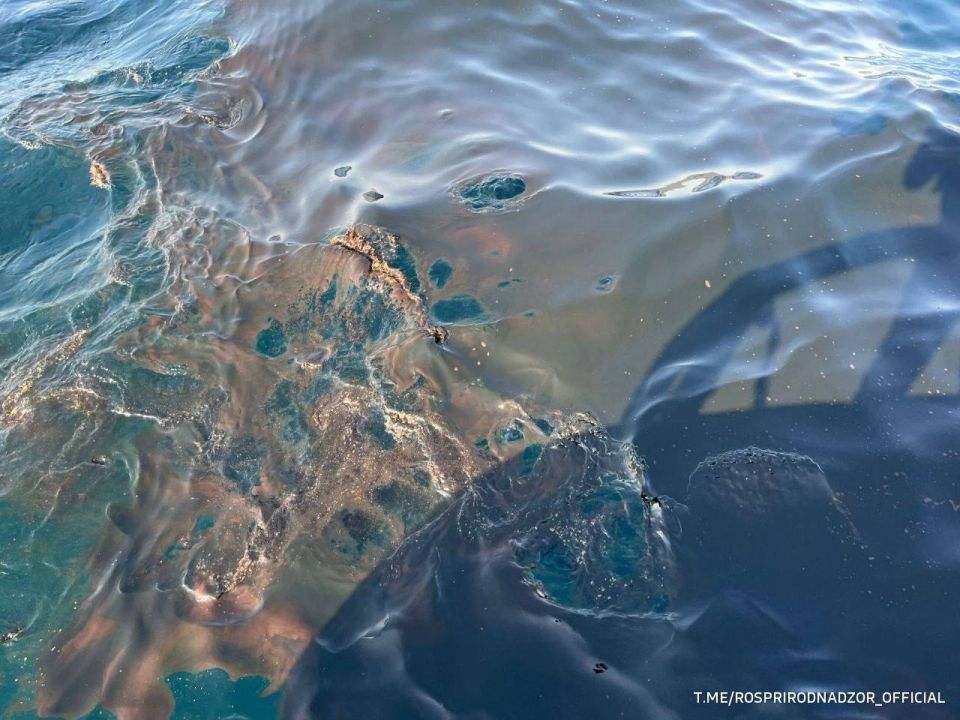 В Черное море в результате разлива около Новороссийска попало около 30 кубометров нефти, сообщили в Росприроднадзоре В Черное море в результате разлива около Новороссийска попало около 30 кубометров нефти, сообщили в Росприроднадзоре