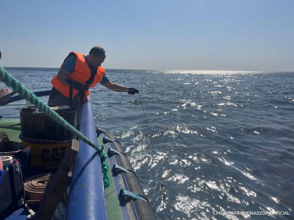 В Черное море в результате разлива около Новороссийска попало около 30 кубометров нефти, сообщили в Росприроднадзоре В Черное море в результате разлива около Новороссийска попало около 30 кубометров нефти, сообщили в Росприроднадзоре