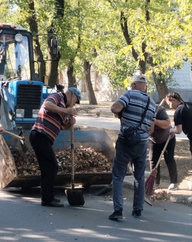 Александр Пеняев: Накануне Дня знаний в округе прошел масштабный субботник Александр Пеняев: Накануне Дня знаний в округе прошел масштабный субботник