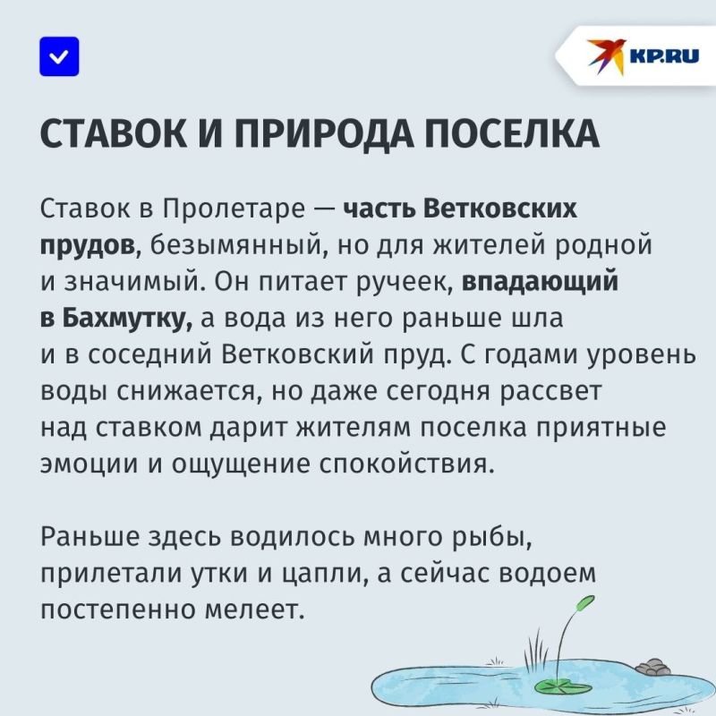 «Надеемся, что проблема с водой решится раньше, чем обмелеет ставок»: жители поселка Пролетар в Донецке переживают за водоем «Надеемся, что проблема с водой решится раньше, чем обмелеет ставок»: жители поселка Пролетар в Донецке переживают за водоем