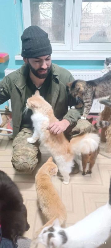 Друзья, наш частный приют "Мурысин дом" г.Луганска, который недавно переименован ( нас многие путали с таким же названием приюта из Донецка), где более 200 хвостиков, находясь в зоне проведения СВО и не имея никакой... Друзья, наш частный приют "Мурысин дом" г.Луганска, который недавно переименован ( нас многие путали с таким же названием приюта из Донецка), где более 200 хвостиков, находясь в зоне проведения СВО и не имея никакой...
