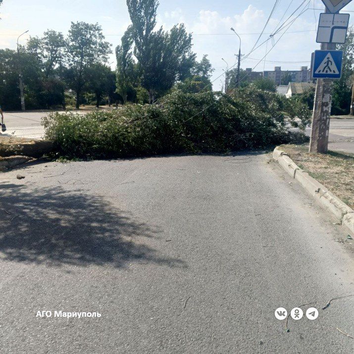 В Мариуполе рабочие зеленого строительства ликвидируют последствия штормового ветра В Мариуполе рабочие зеленого строительства ликвидируют последствия штормового ветра