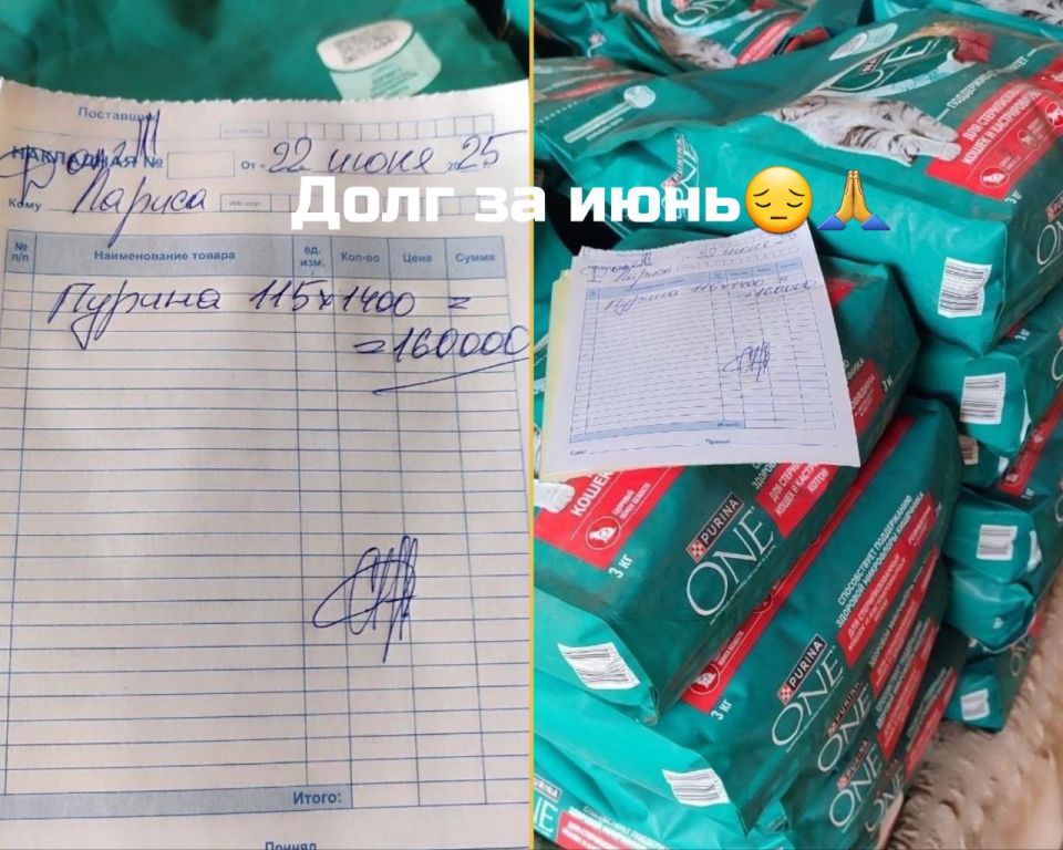 Друзья, наш частный приют "Мурысин дом" г.Луганска, который недавно переименован ( нас многие путали с таким же названием приюта из Донецка), где более 200 хвостиков, находясь в зоне проведения СВО и не имея никакой... Друзья, наш частный приют "Мурысин дом" г.Луганска, который недавно переименован ( нас многие путали с таким же названием приюта из Донецка), где более 200 хвостиков, находясь в зоне проведения СВО и не имея никакой...