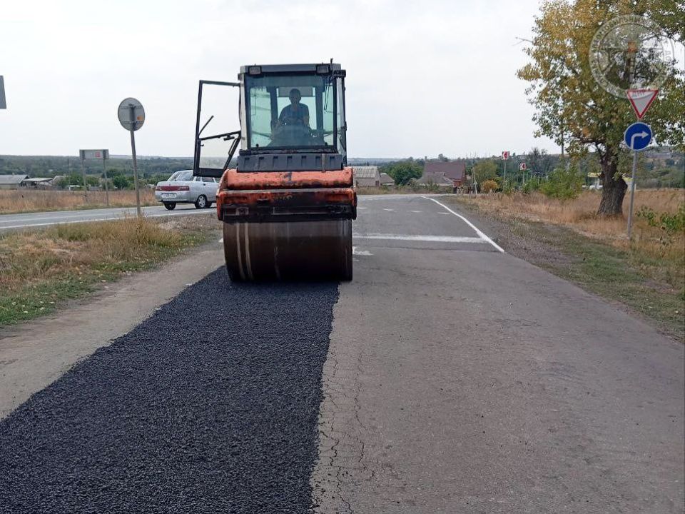 #свод_за_сутки #летнее_содержание #свод_за_сутки #летнее_содержание