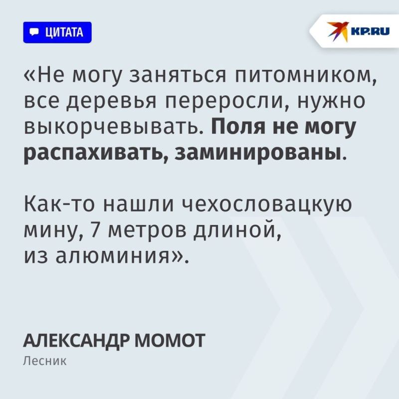 «Главное — сохранить жизни людей, а новый лес мы высадим» «Главное — сохранить жизни людей, а новый лес мы высадим»