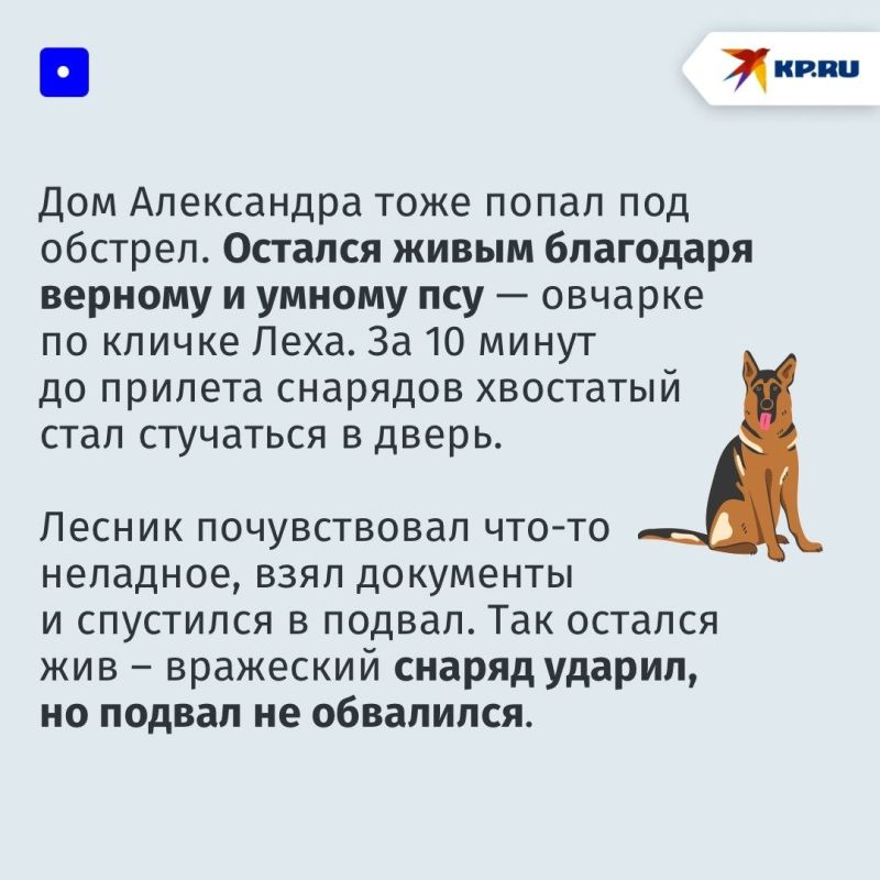 «Главное — сохранить жизни людей, а новый лес мы высадим» «Главное — сохранить жизни людей, а новый лес мы высадим»
