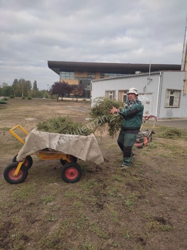 Сотрудники Дирекции парков продолжают работы по благоустройству парковых зон Сотрудники Дирекции парков продолжают работы по благоустройству парковых зон