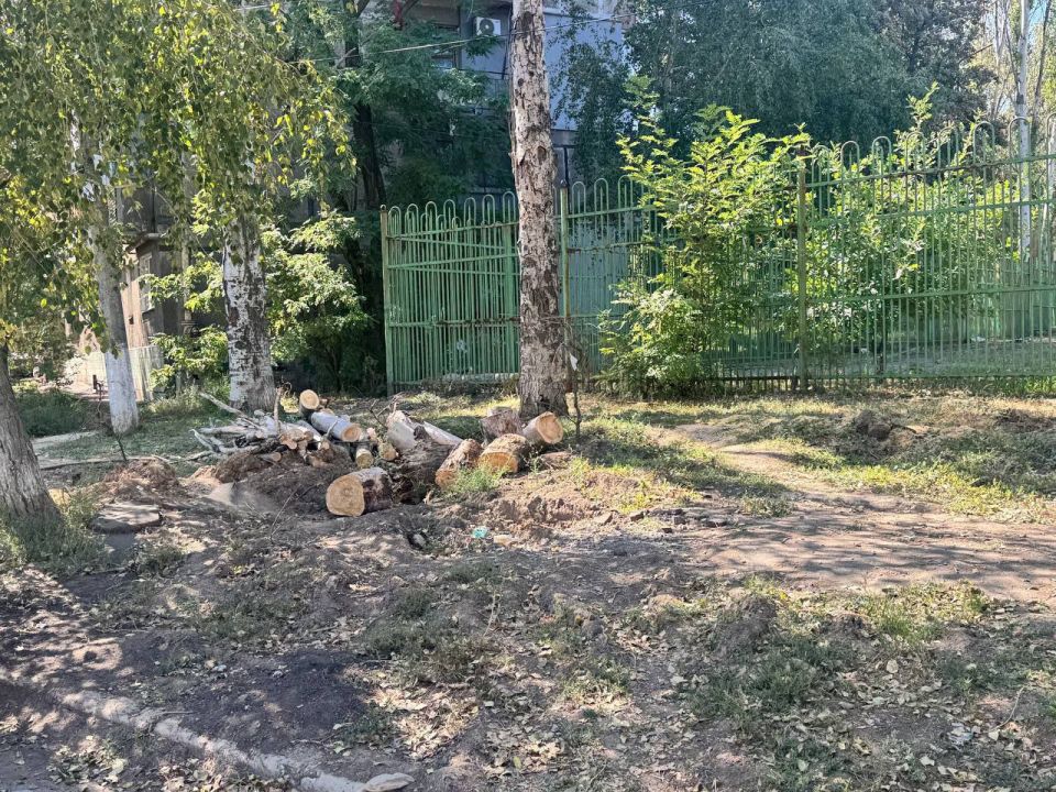 Сегодня, 5 сентября, сотрудниками МУП АГОД ДНР «Зеленое строительство г. Донецка» проведены работы по распилу аварийного дерева по ул. Волгоградская,1 в Ленинском внутригородском районе г. Донецка Сегодня, 5 сентября, сотрудниками МУП АГОД ДНР «Зеленое строительство г. Донецка» проведены работы по распилу аварийного дерева по ул. Волгоградская,1 в Ленинском внутригородском районе г. Донецка