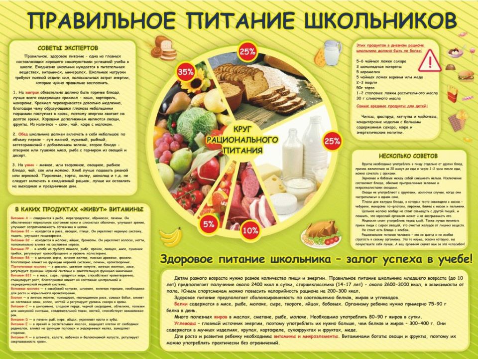 10 правил для профилактики кишечной инфекции 10 правил для профилактики кишечной инфекции
