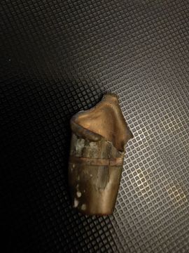 В этот день, 5 сентября 2014 года, в мою квартиру прилетела пуля