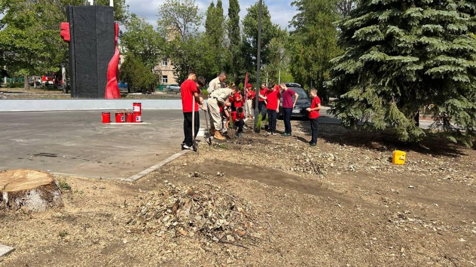 Юнармейцы высадили живую изгородь на Аллее Славы в Кировском благодаря владимирцам Юнармейцы высадили живую изгородь на Аллее Славы в Кировском благодаря владимирцам