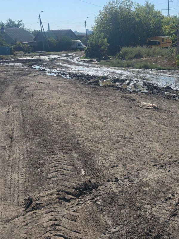 Депутаты Народного Совета: ежедневная борьба за воду Депутаты Народного Совета: ежедневная борьба за воду