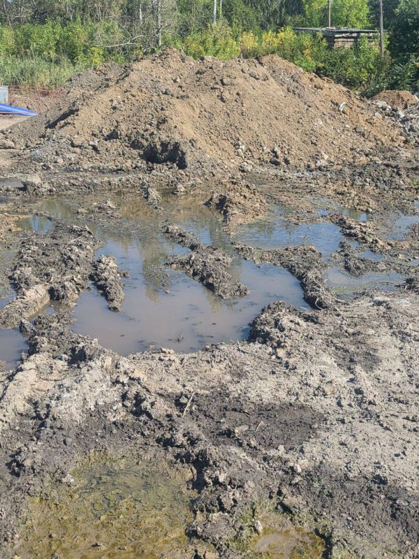 Депутаты Народного Совета: ежедневная борьба за воду Депутаты Народного Совета: ежедневная борьба за воду