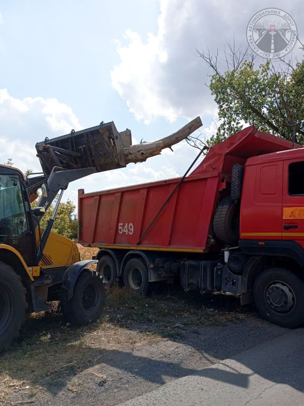 #свод_за_сутки #летнее_содержание #свод_за_сутки #летнее_содержание