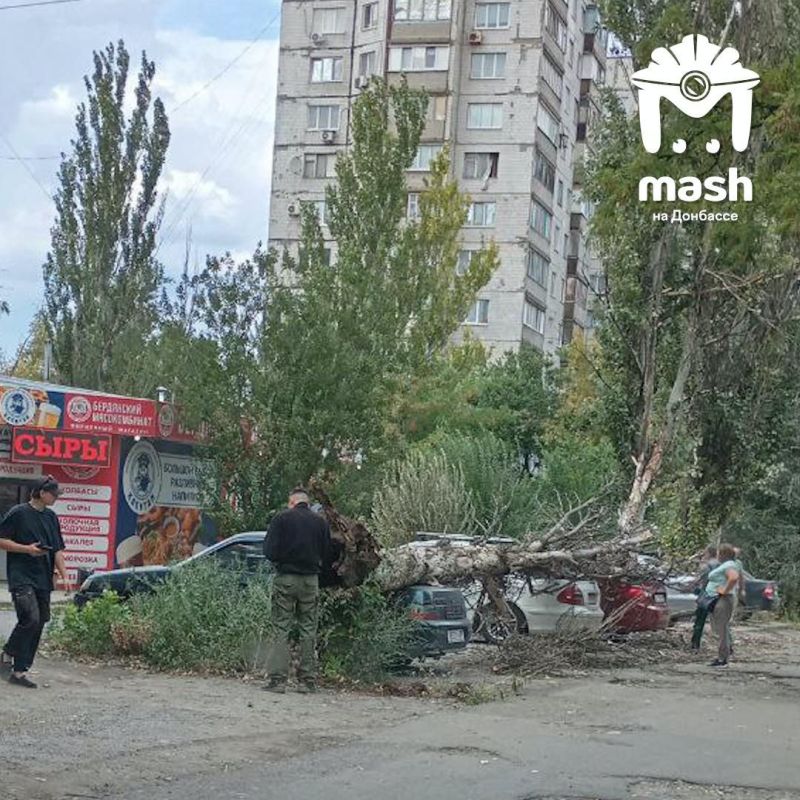 Вот что натворила штормовая погода на улицах Донецка Вот что натворила штормовая погода на улицах Донецка