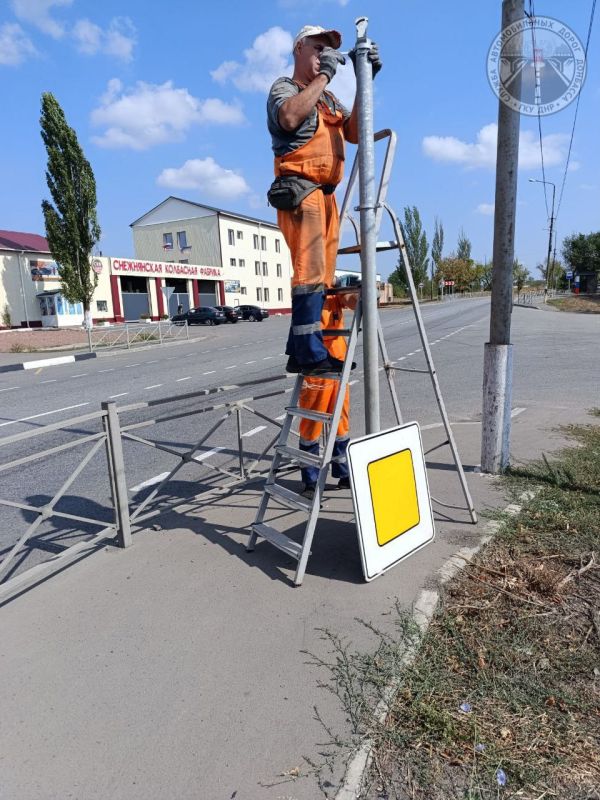 #свод_за_сутки #летнее_содержание #свод_за_сутки #летнее_содержание