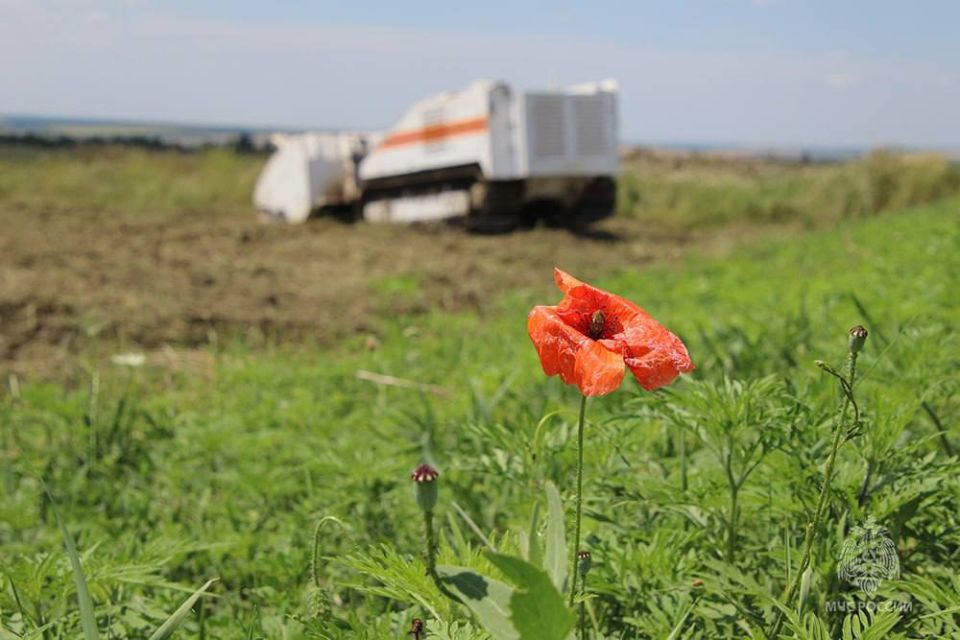 #МЧСДНР_СВОД за сутки. Ликвидировано 56 пожаров, из них 20 – ландшафтные