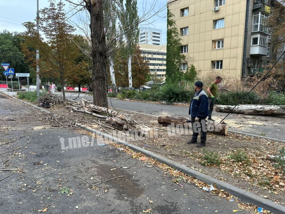 Алексей Кулемзин: В Ворошиловском районе оперативно устранили последствия мощного ветра Алексей Кулемзин: В Ворошиловском районе оперативно устранили последствия мощного ветра