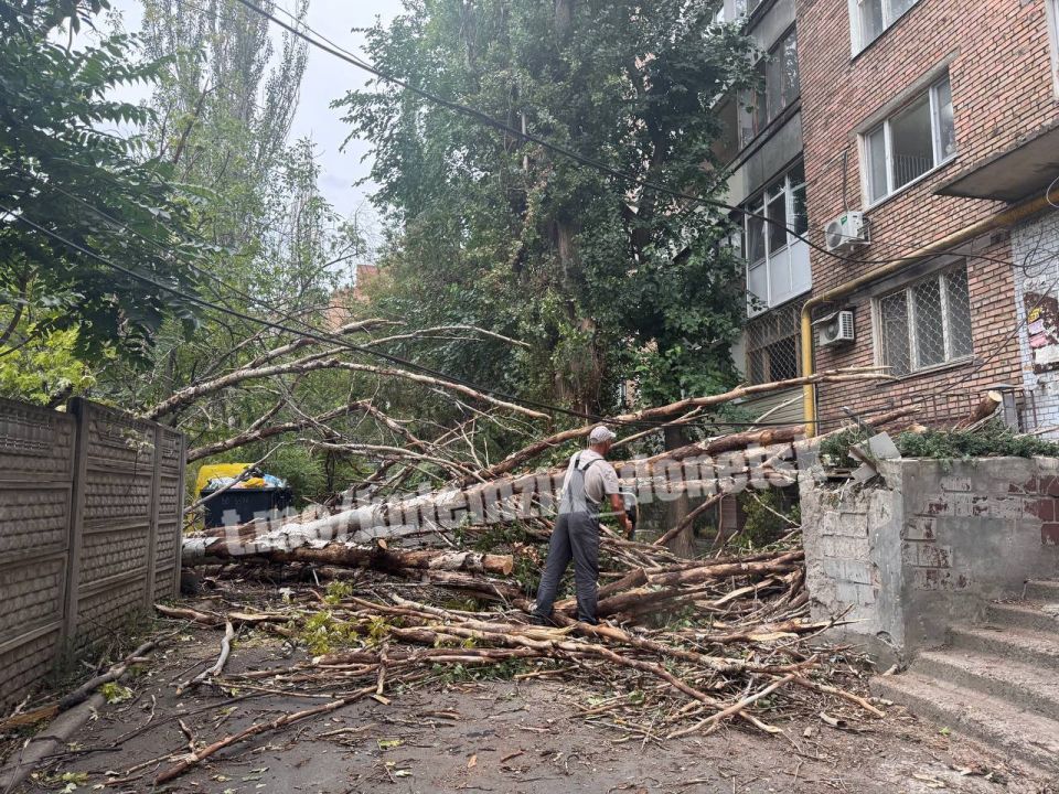 Алексей Кулемзин: В Ворошиловском районе оперативно устранили последствия мощного ветра Алексей Кулемзин: В Ворошиловском районе оперативно устранили последствия мощного ветра