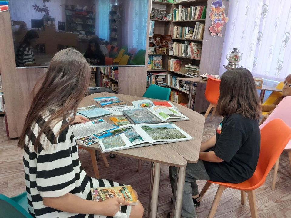 Книгу прочитай – все о Дебальцево узнай Книгу прочитай – все о Дебальцево узнай