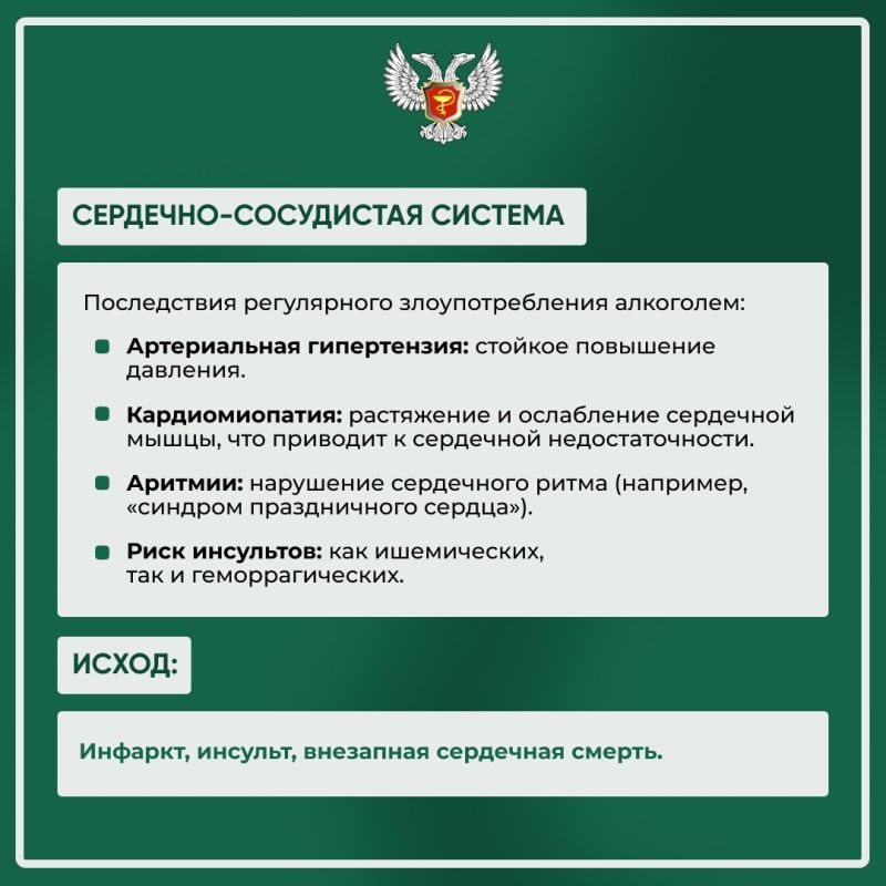 В рамках Недели снижения потребления алкоголя мы создали информационные карточки, которые наглядно демонстрируют влияние алкоголя на организм В рамках Недели снижения потребления алкоголя мы создали информационные карточки, которые наглядно демонстрируют влияние алкоголя на организм