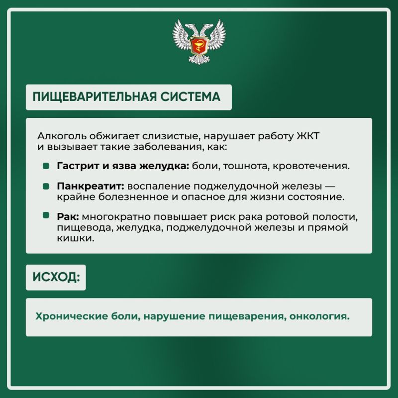В рамках Недели снижения потребления алкоголя мы создали информационные карточки, которые наглядно демонстрируют влияние алкоголя на организм В рамках Недели снижения потребления алкоголя мы создали информационные карточки, которые наглядно демонстрируют влияние алкоголя на организм