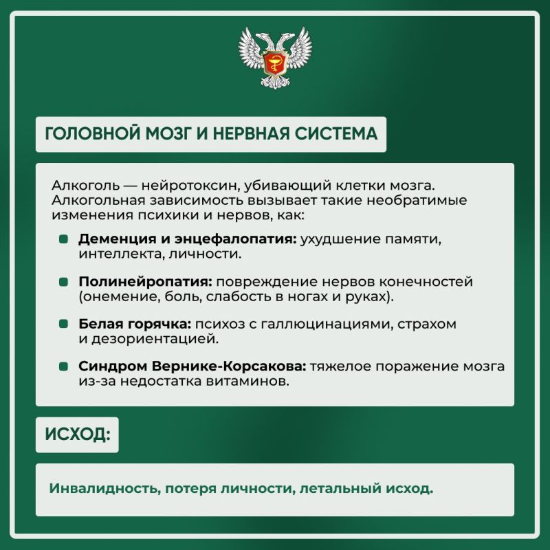 В рамках Недели снижения потребления алкоголя мы создали информационные карточки, которые наглядно демонстрируют влияние алкоголя на организм В рамках Недели снижения потребления алкоголя мы создали информационные карточки, которые наглядно демонстрируют влияние алкоголя на организм