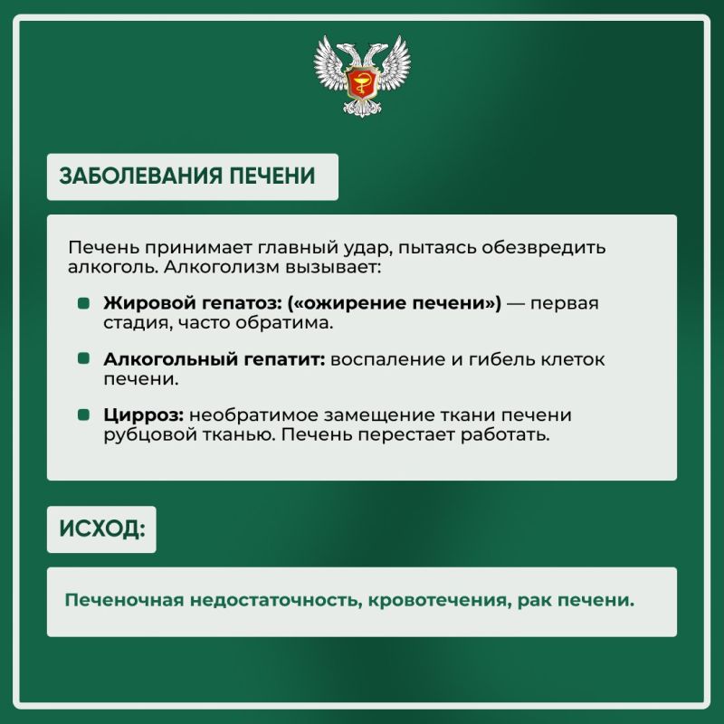 В рамках Недели снижения потребления алкоголя мы создали информационные карточки, которые наглядно демонстрируют влияние алкоголя на организм В рамках Недели снижения потребления алкоголя мы создали информационные карточки, которые наглядно демонстрируют влияние алкоголя на организм