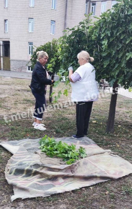 Сотрудники Дирекции парков продолжают работу по благоустройству зелёных зон! Сотрудники Дирекции парков продолжают работу по благоустройству зелёных зон!