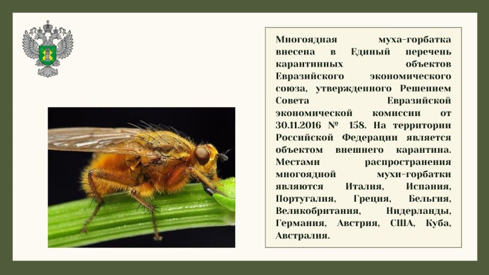 #карантинный_объект. С января по 11 сентября текущего года по инициативе контролируемых лиц сотрудники Управления Россельхознадзора по ДНР и ЛНР осуществили 35 консультационных выездов на предприятия Луганской Народной... #карантинный_объект. С января по 11 сентября текущего года по инициативе контролируемых лиц сотрудники Управления Россельхознадзора по ДНР и ЛНР осуществили 35 консультационных выездов на предприятия Луганской Народной...