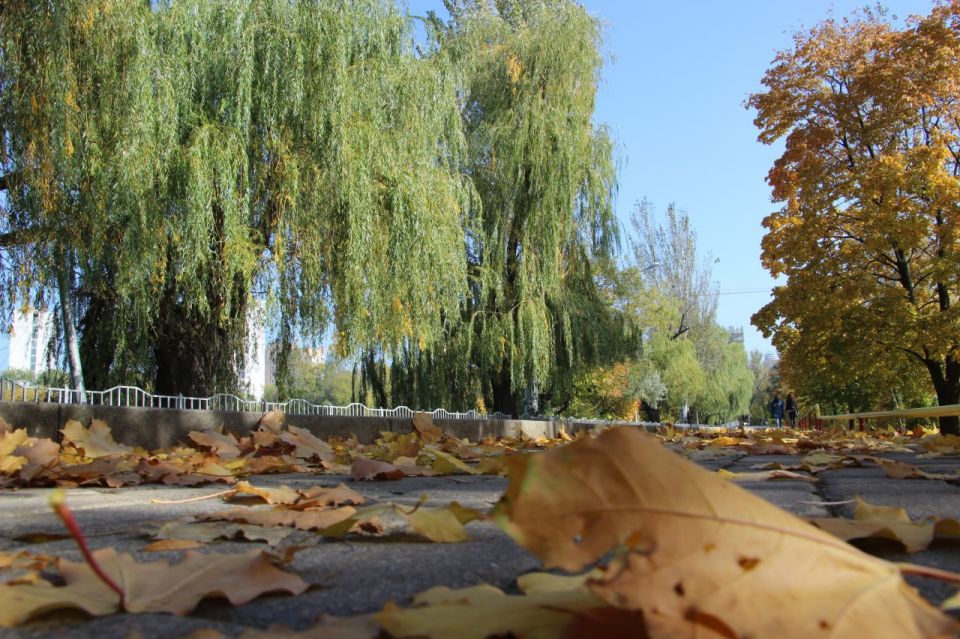 Работа Правительства: итоги дня Работа Правительства: итоги дня