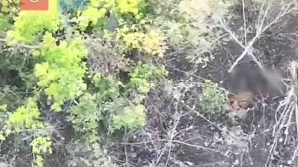 Российские бойцы через газовую трубу зашли в Купянск в Харьковской области, утверждают украинские источники