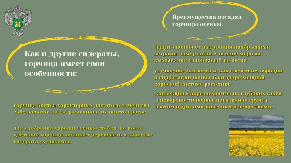#применение_удобрений #применение_удобрений