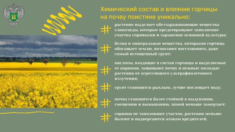 #применение_удобрений #применение_удобрений
