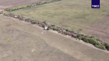 ВС России освободили Ольговское в Запорожской области, сообщило Минобороны!