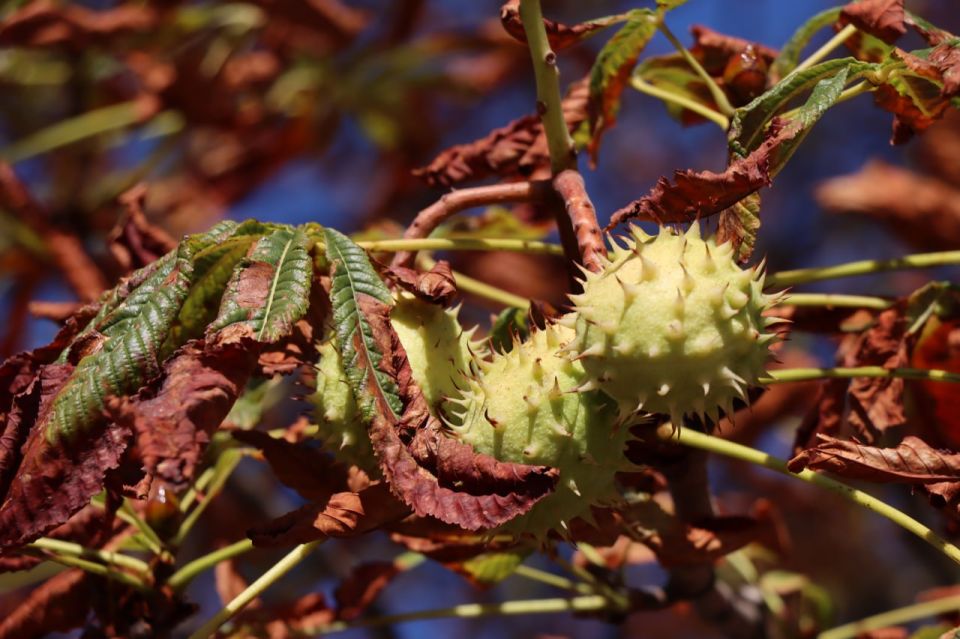 ������ ���� ������������ ������� ������ � �������� ���!