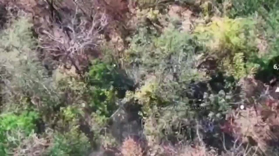 Александр Коц: Охотники на дроноводов. 6 дивизия "Южной" группировки войск чистит лесополки на Краматорско-Дружковском направлении