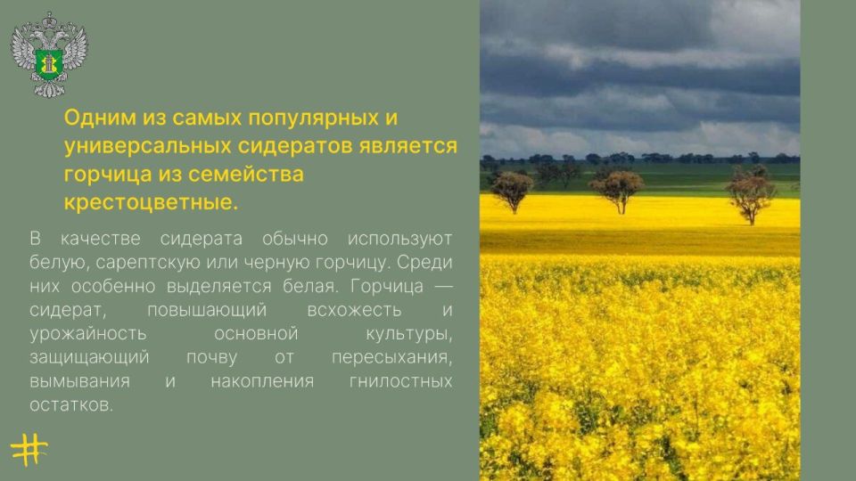 #применение_удобрений #применение_удобрений