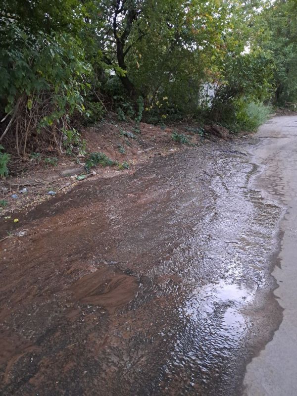 Депутаты Народного Совета: ежедневная борьба за воду Депутаты Народного Совета: ежедневная борьба за воду
