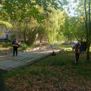 Михаил Меренков: Трудовой день участка по благоустройству Буденновского района МУП АГОД «Зелёное строительство г. Донецка» 16 сентября