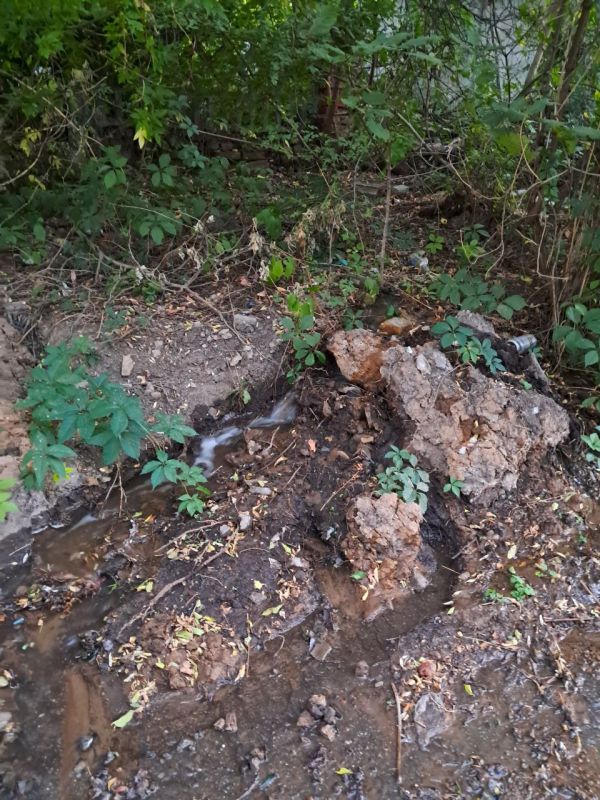 Депутаты Народного Совета: ежедневная борьба за воду Депутаты Народного Совета: ежедневная борьба за воду