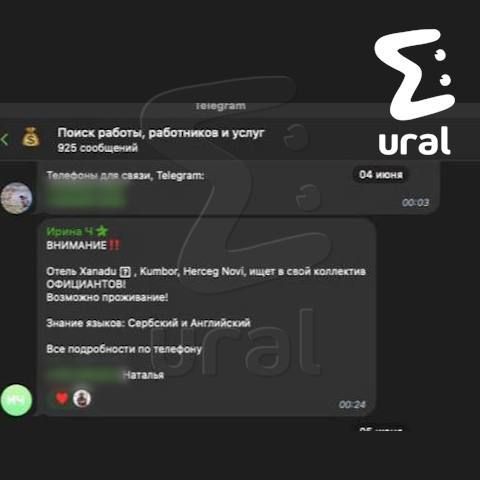 У вице-губернатора Свердловской области и его семьи процветает бизнес в Черногории У вице-губернатора Свердловской области и его семьи процветает бизнес в Черногории