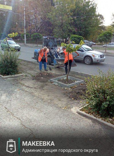 Сотрудниками МУП АГМ «Перспектива» выполнены работы: Сотрудниками МУП АГМ «Перспектива» выполнены работы: