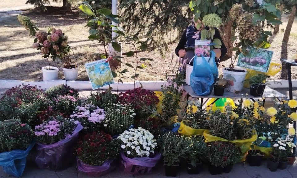 В Ждановке прошла ярмарка. 17 сентября у городского центра культуры и досуга были представлены товары от производителей и предпринимателей из разных городов Донецкой Народной Республики В Ждановке прошла ярмарка. 17 сентября у городского центра культуры и досуга были представлены товары от производителей и предпринимателей из разных городов Донецкой Народной Республики