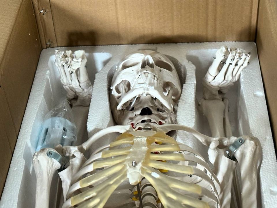 Современное оборудование для профильных классов поступило в школы Волновахи благодаря Ямалу Современное оборудование для профильных классов поступило в школы Волновахи благодаря Ямалу