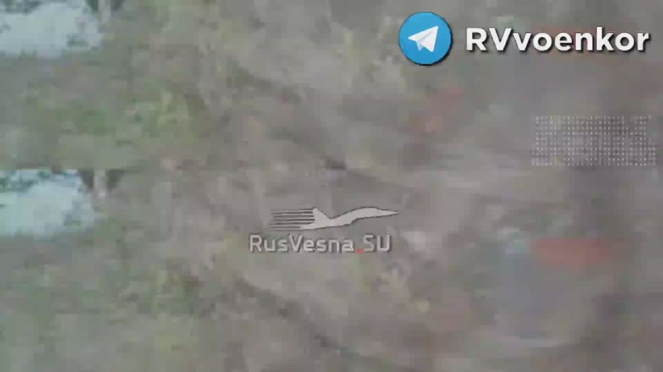 Битва у Покровска: «тважные» днём и ночью жгут технику, пехоту и позиции врага