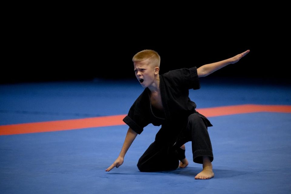 Грядут важные изменения в федеральном стандарте спортивной подготовки по виду спорта «кикбоксинг» Грядут важные изменения в федеральном стандарте спортивной подготовки по виду спорта «кикбоксинг»