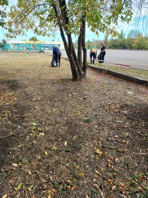В Кировском продолжаются мероприятия по благоустройству в рамках акции «Зеленый Донбасс» В Кировском продолжаются мероприятия по благоустройству в рамках акции «Зеленый Донбасс»