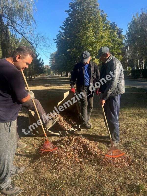 Продолжается активная работа по благоустройству парковых пространств Продолжается активная работа по благоустройству парковых пространств